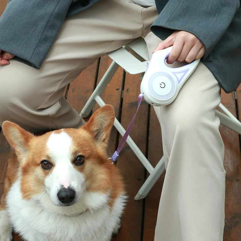 Pets Leash with Led Light - Tiny Trends Club