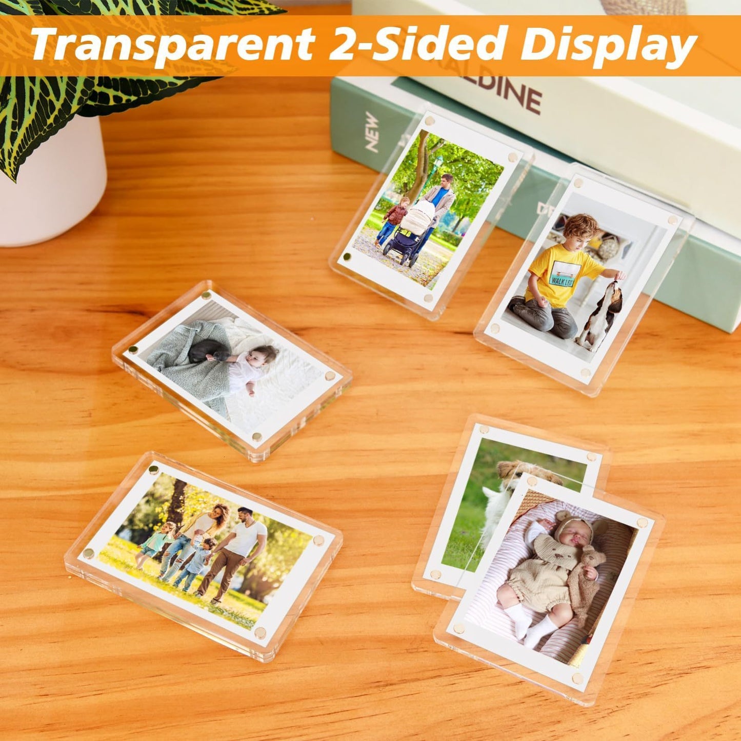 Transparent 2-Sided Display cards with family photos on a wooden surface.