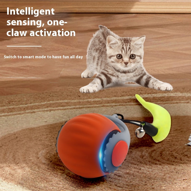Cat Toy Ball