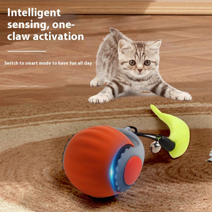 Cat Toy Ball
