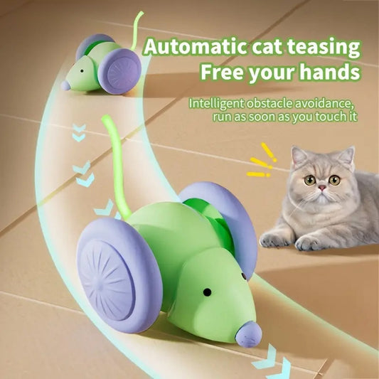 Cat Toy Electric Mouse 
