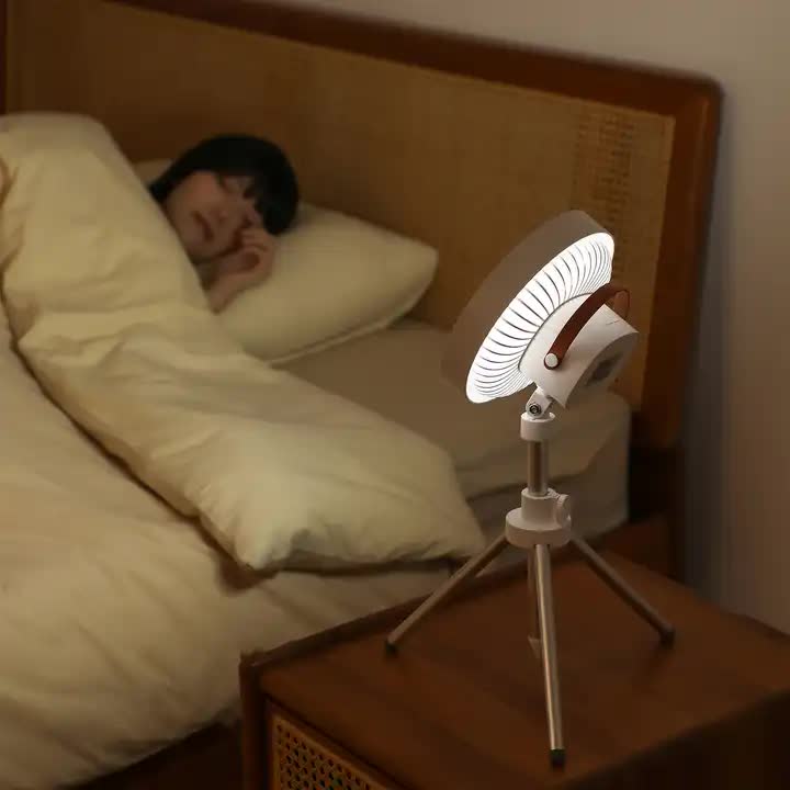 Fan with Light