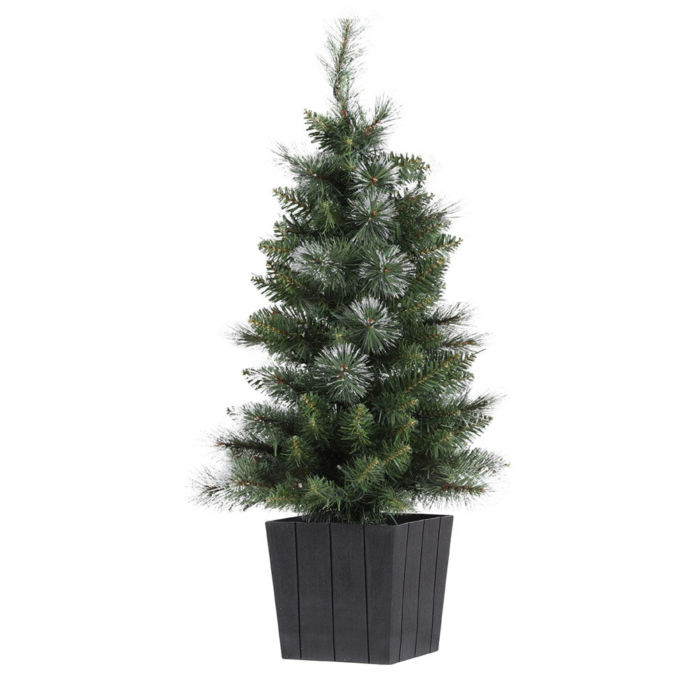 Christmas Tree 90cm Potted